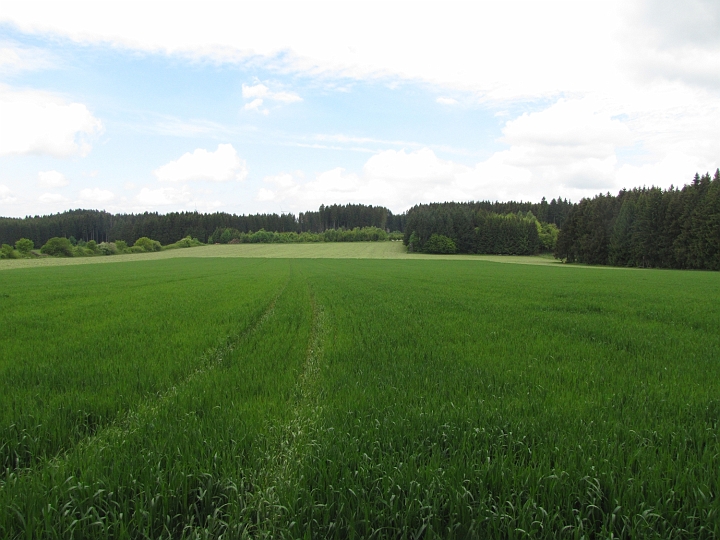 Wanderung 2014_111.jpg